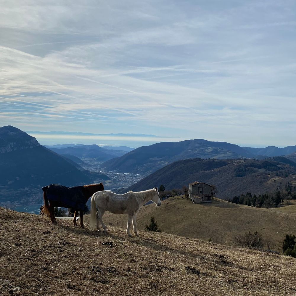 Cosa vedere e dove mangiare in Val Cavallina Cibovagare