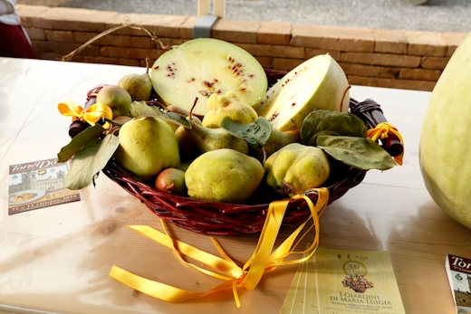 Festival della biodiversità agricola