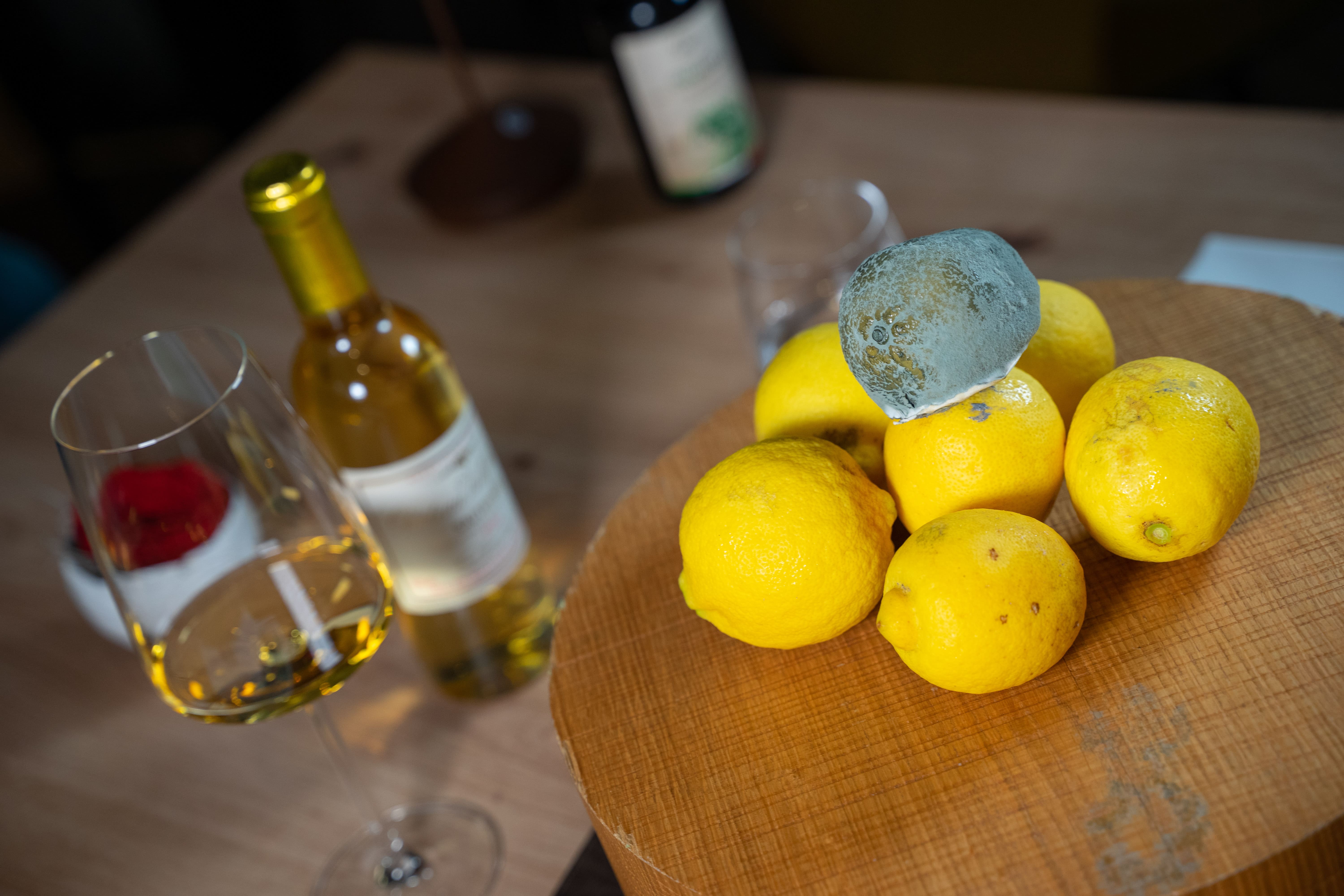 JesoloGourmetFestival