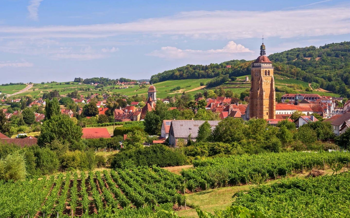 Les Grands Chais de France