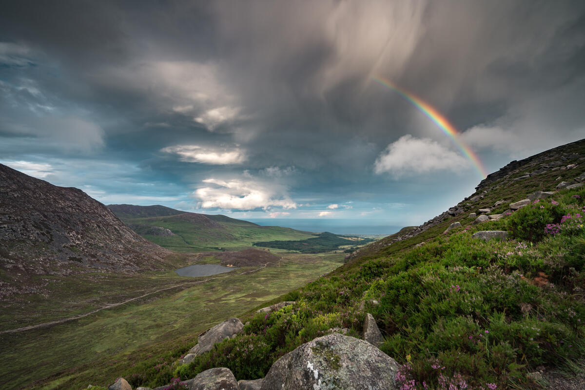 Irlanda