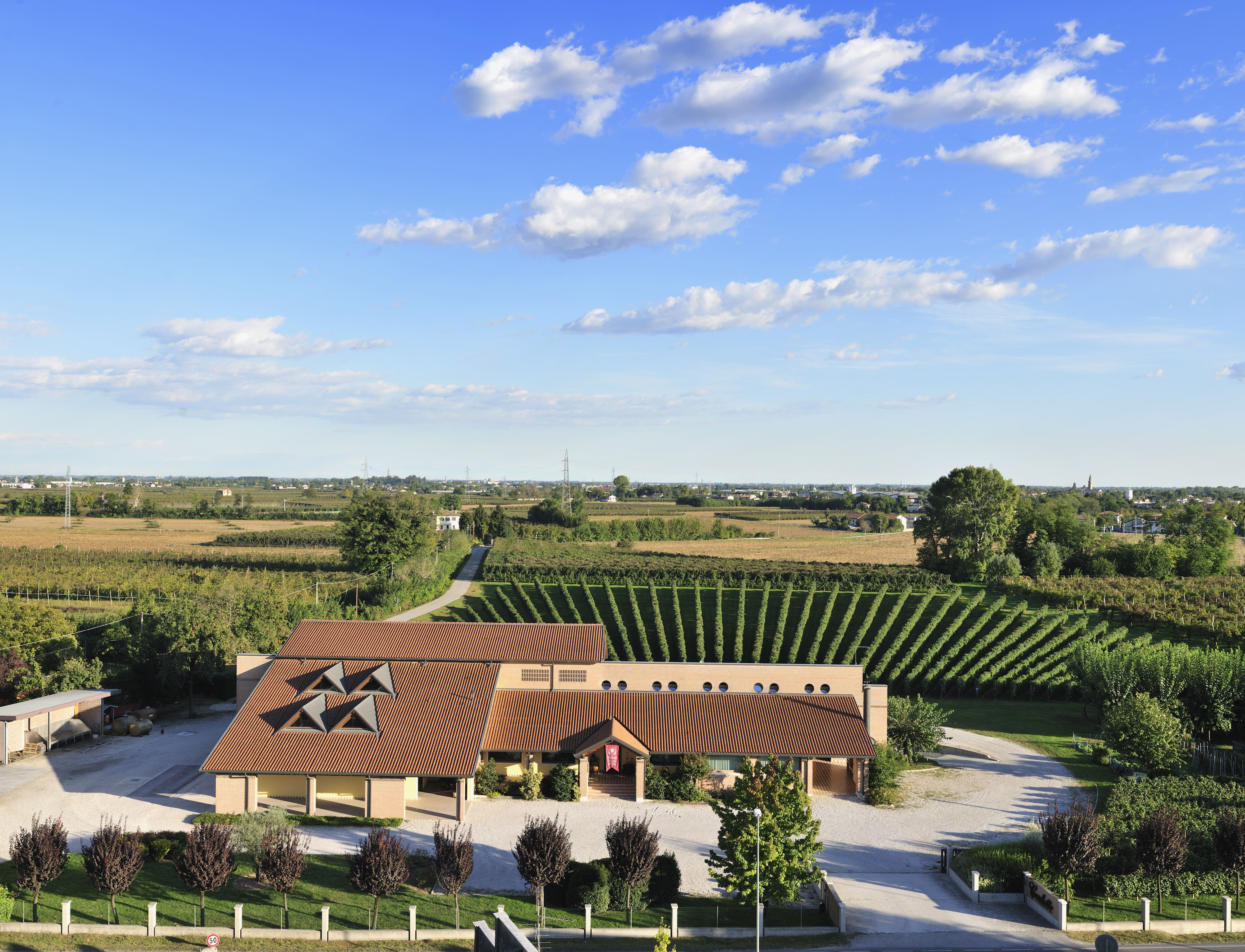Cecchetto Vini