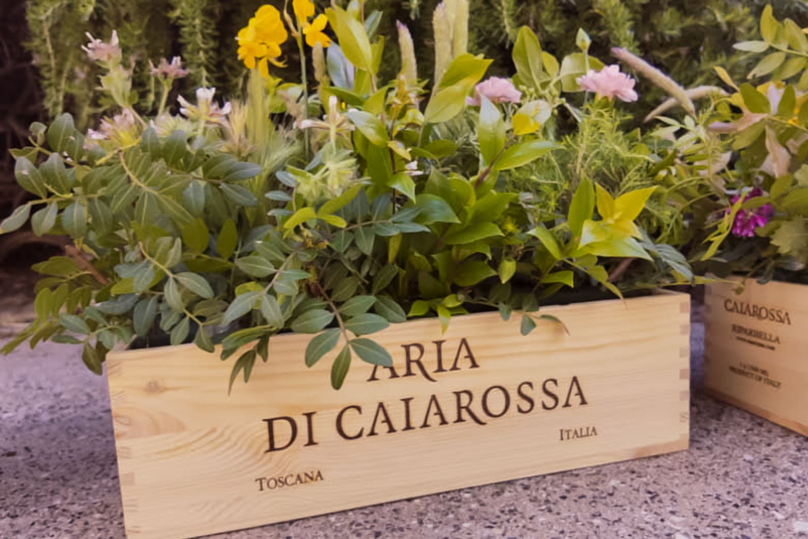 Caiarossa in Natura