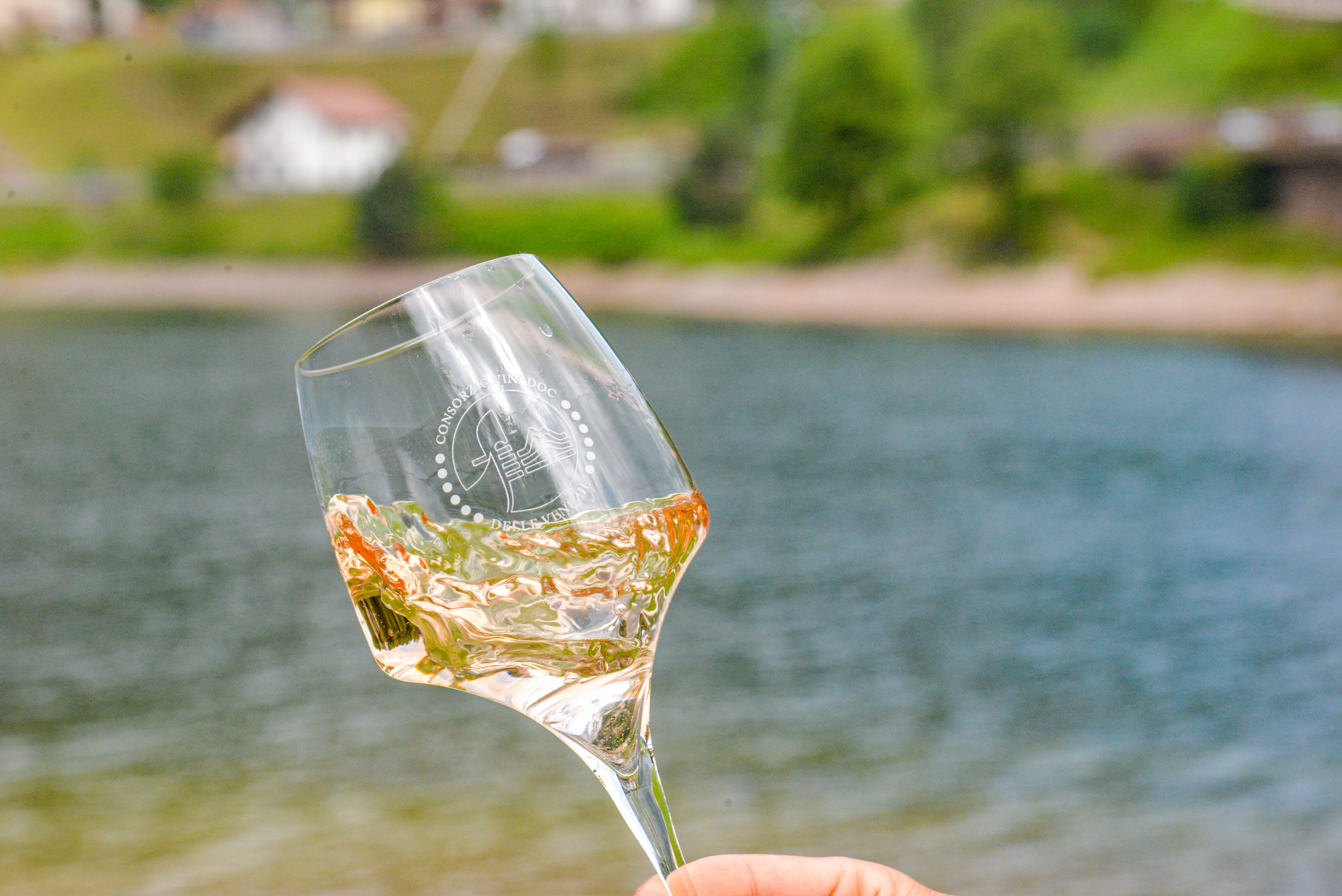 Pinot Grigio delle Venezie