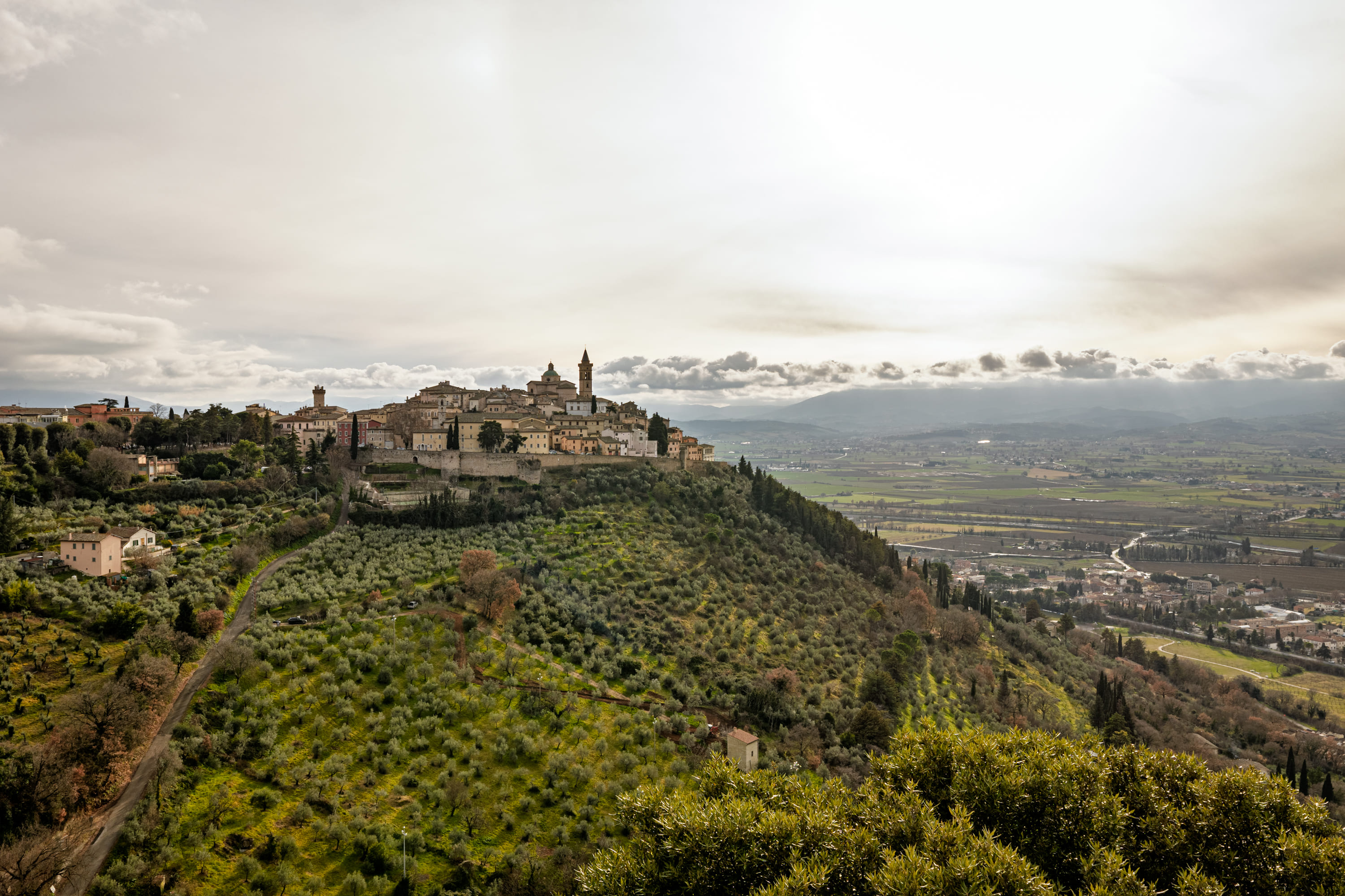 Anteprima Olio e.v.o. Dop Umbria
