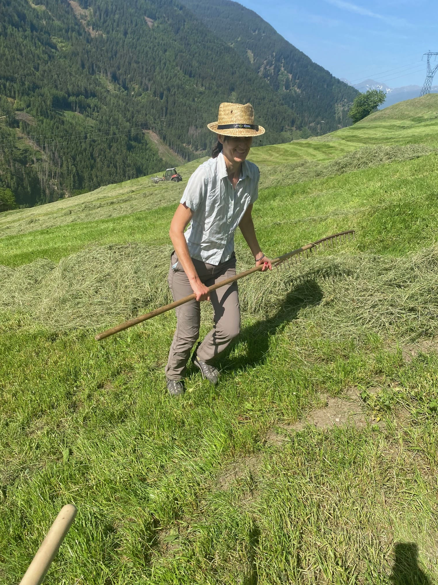 Latte Alto Adige