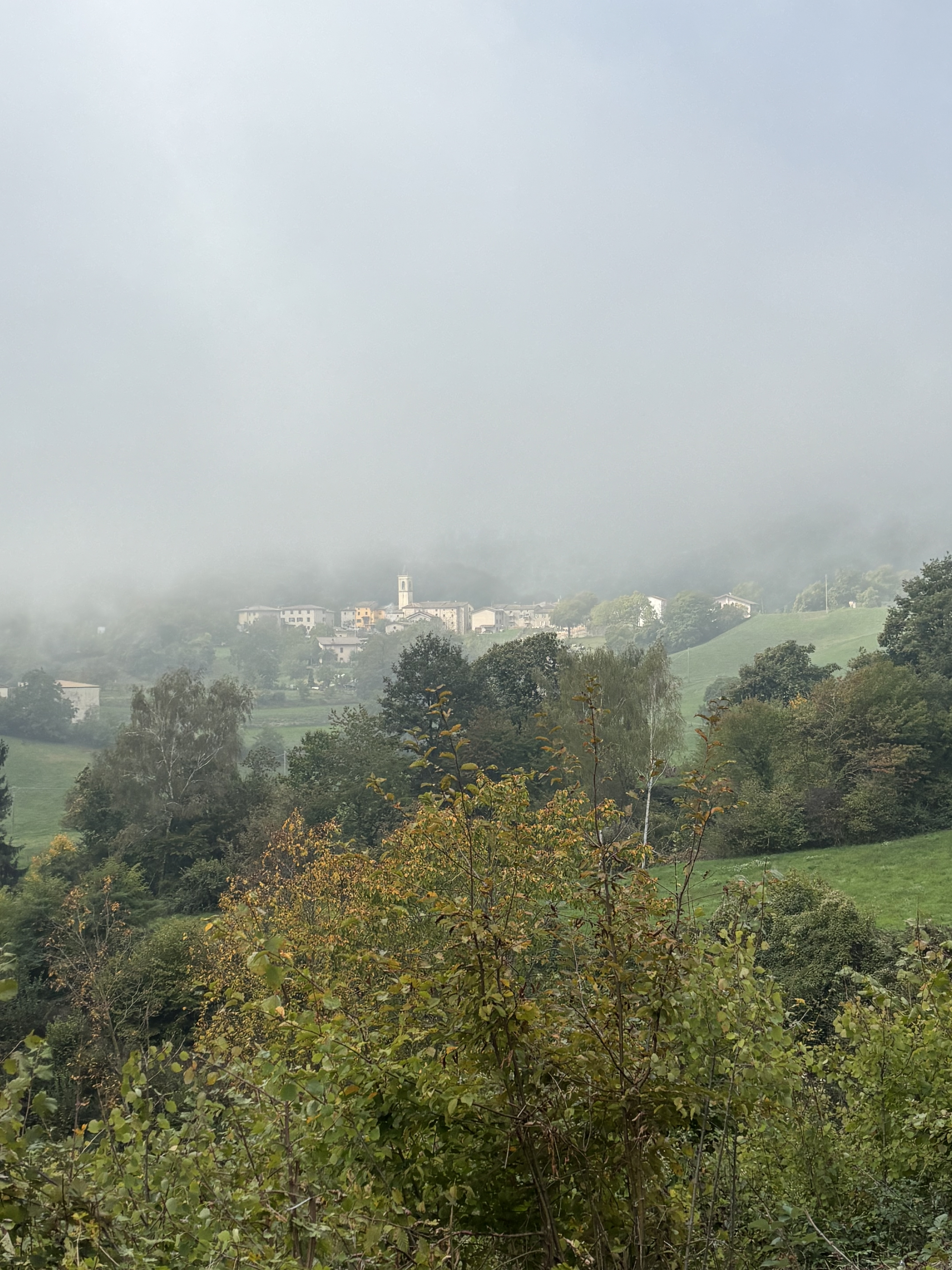 Marrone di San Zeno DOP