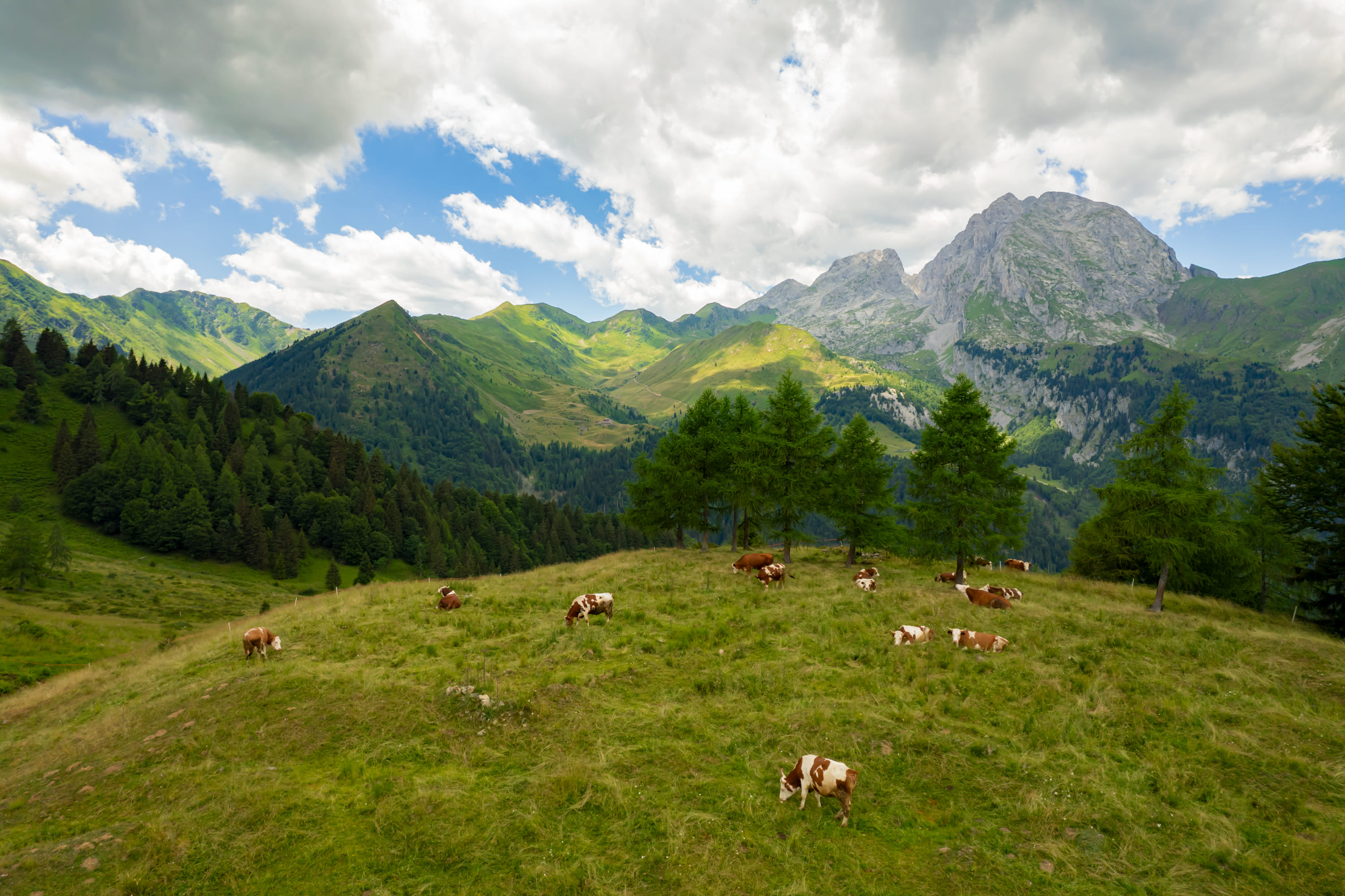 Formandi Malga Lavareit