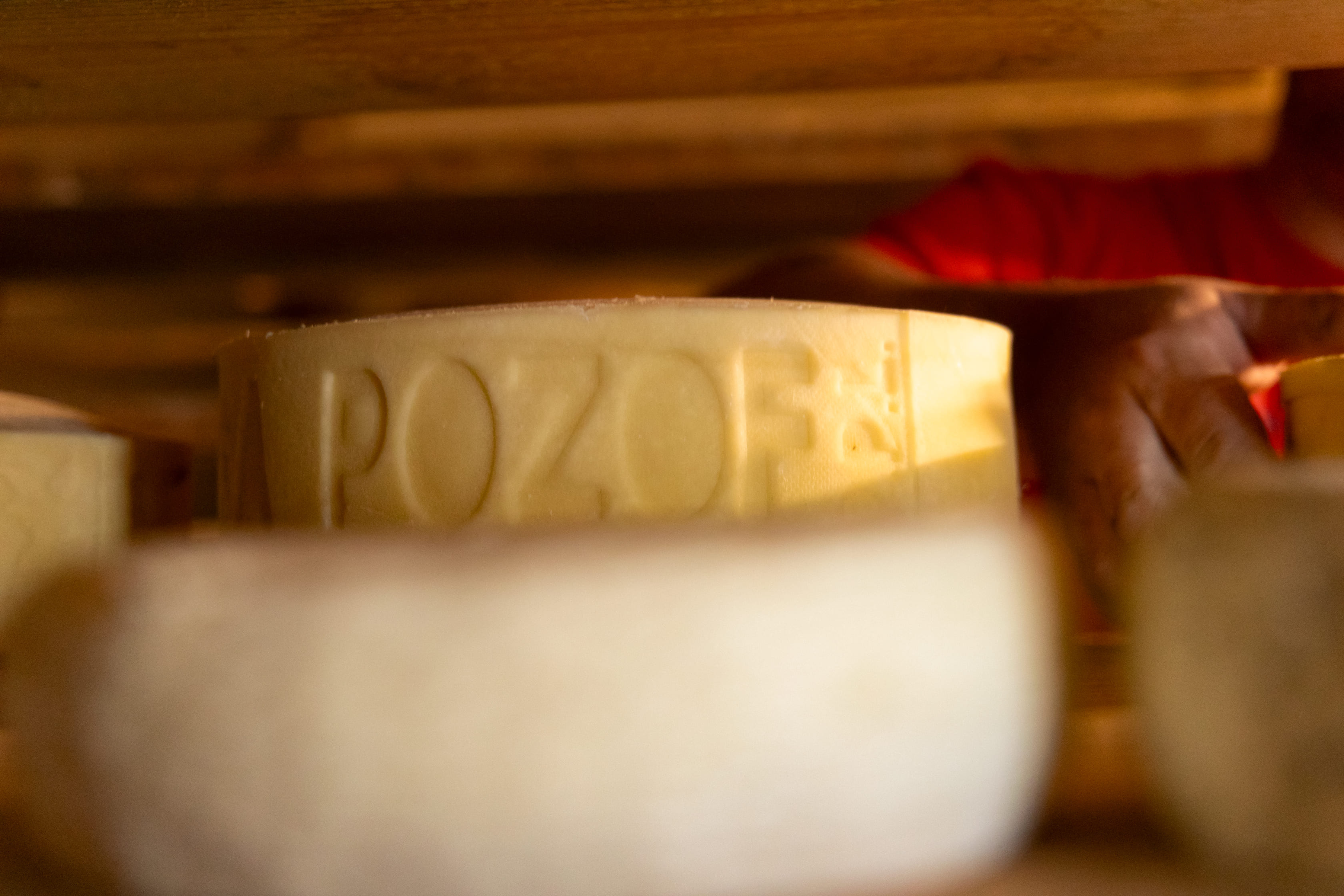 Formandi Malga Pozof