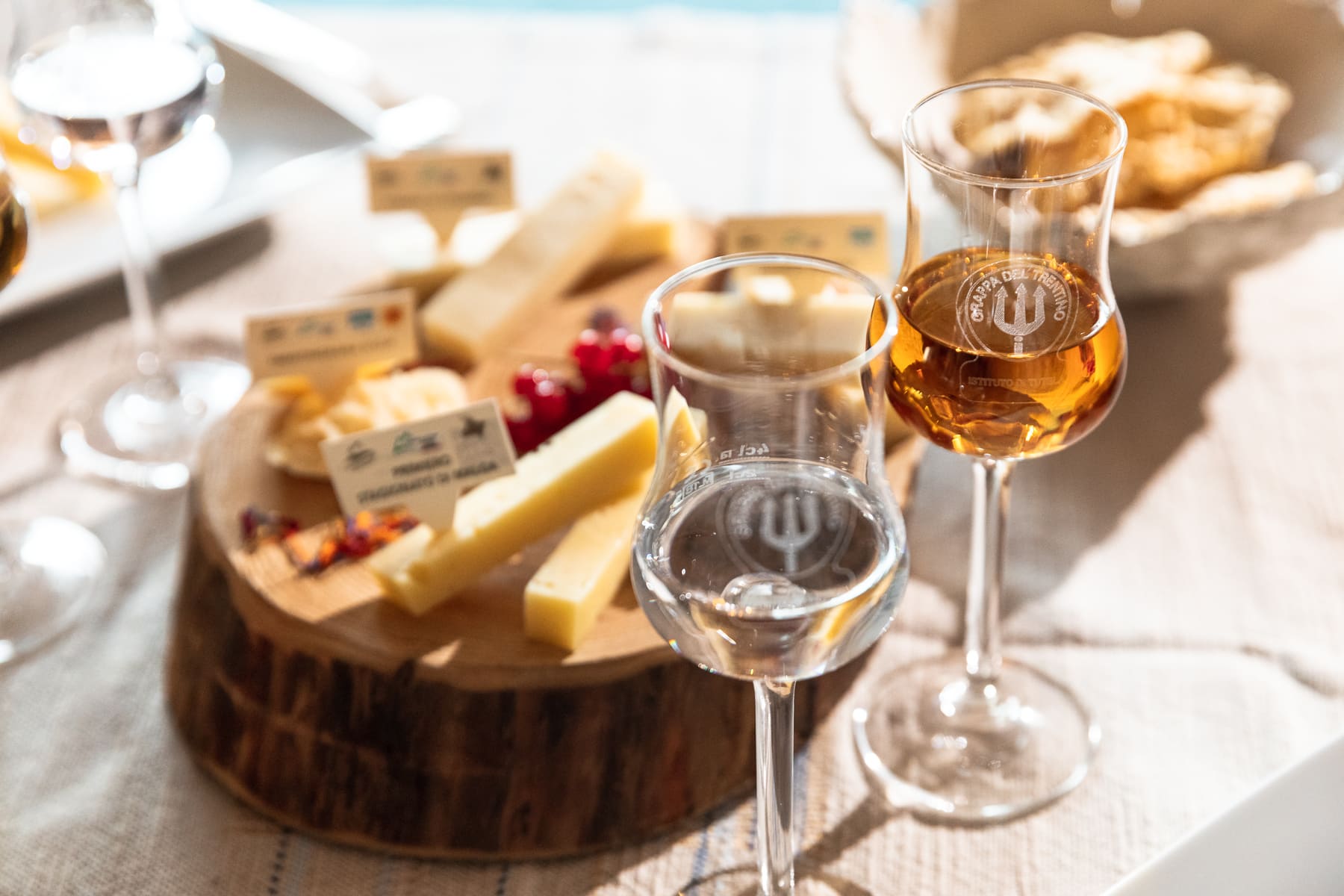 Istituto Grappa del Trentino