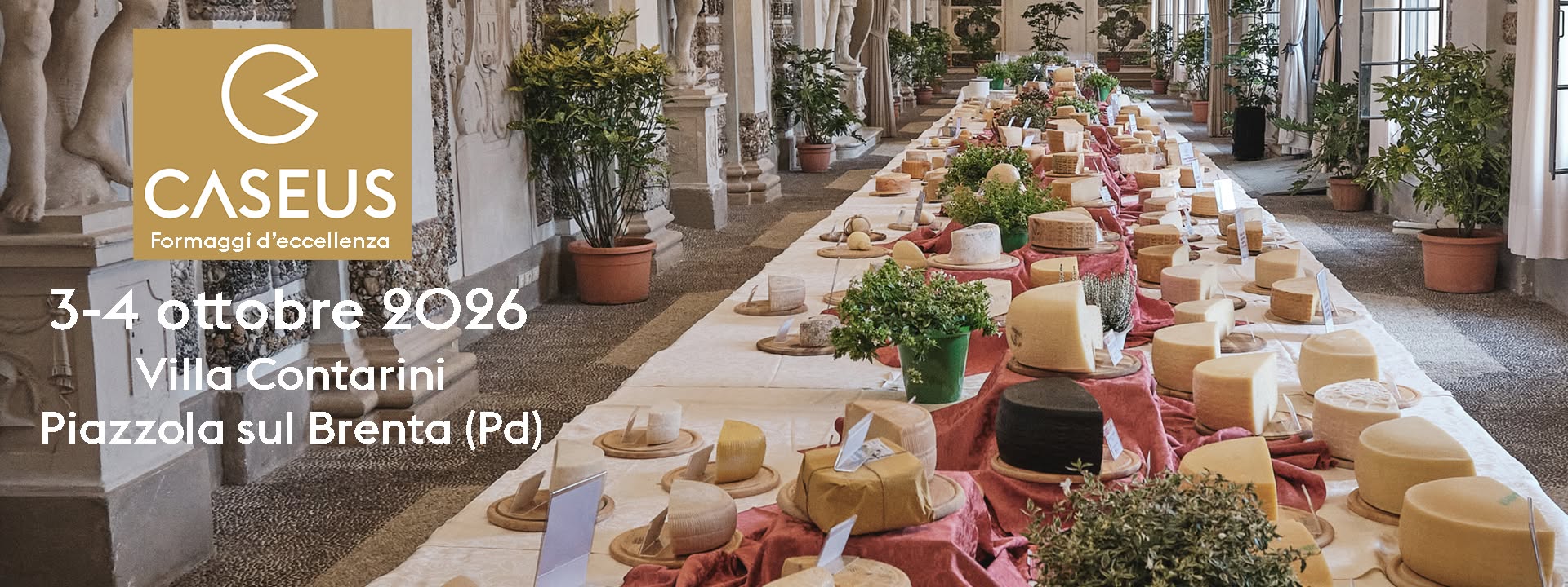 healt chef venicepromex