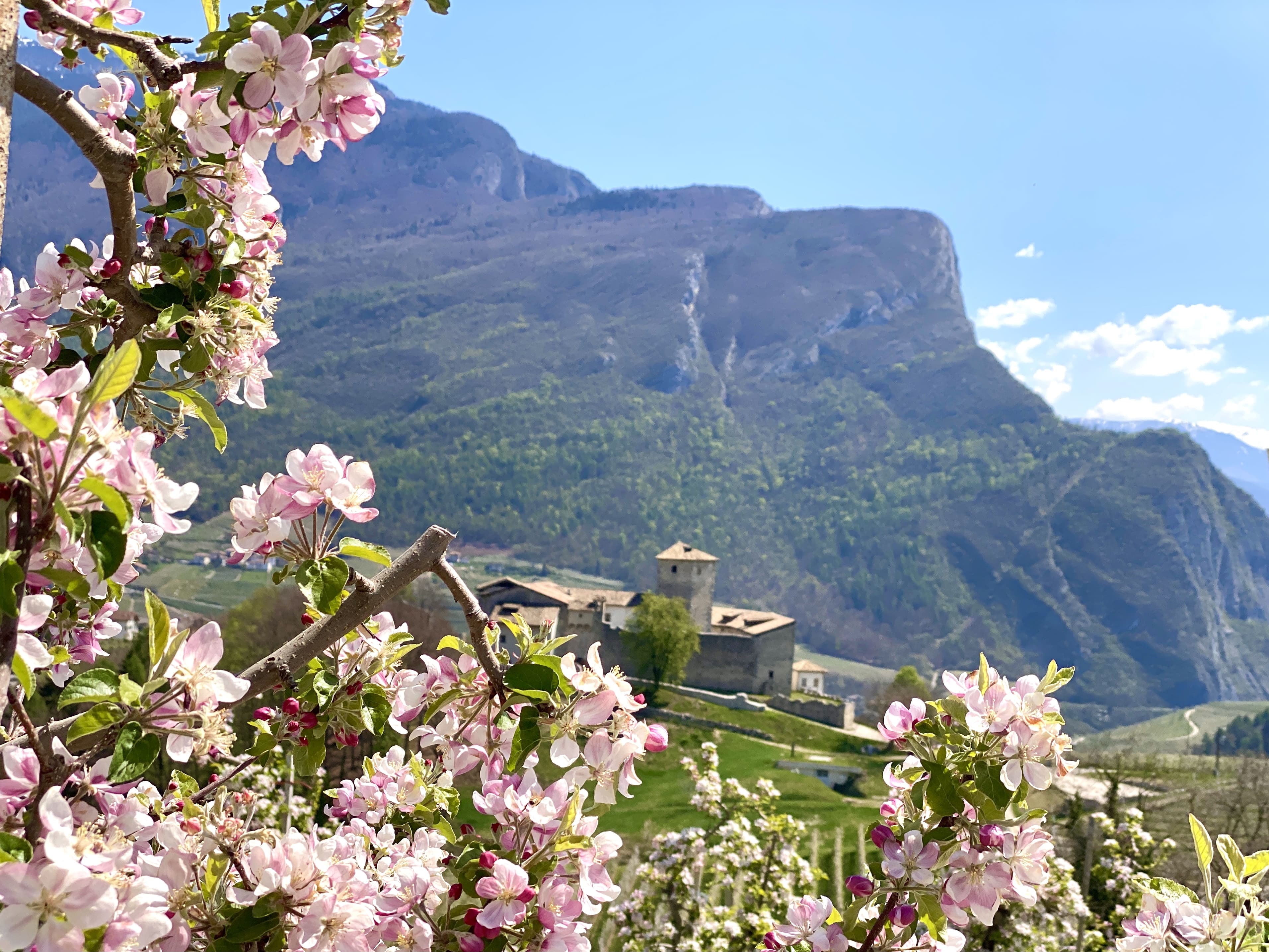 Val di Non