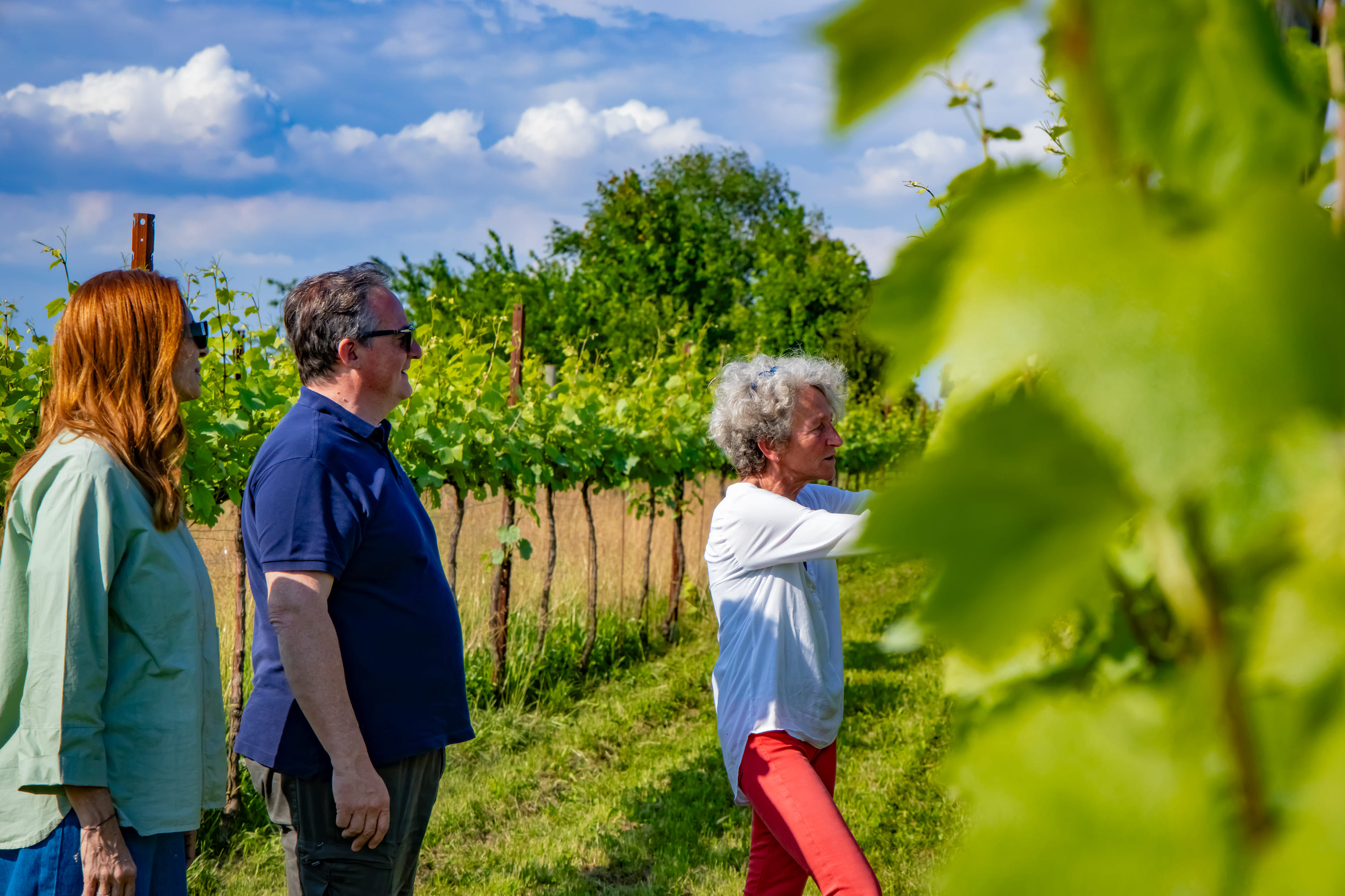 Caorle Wine&Art