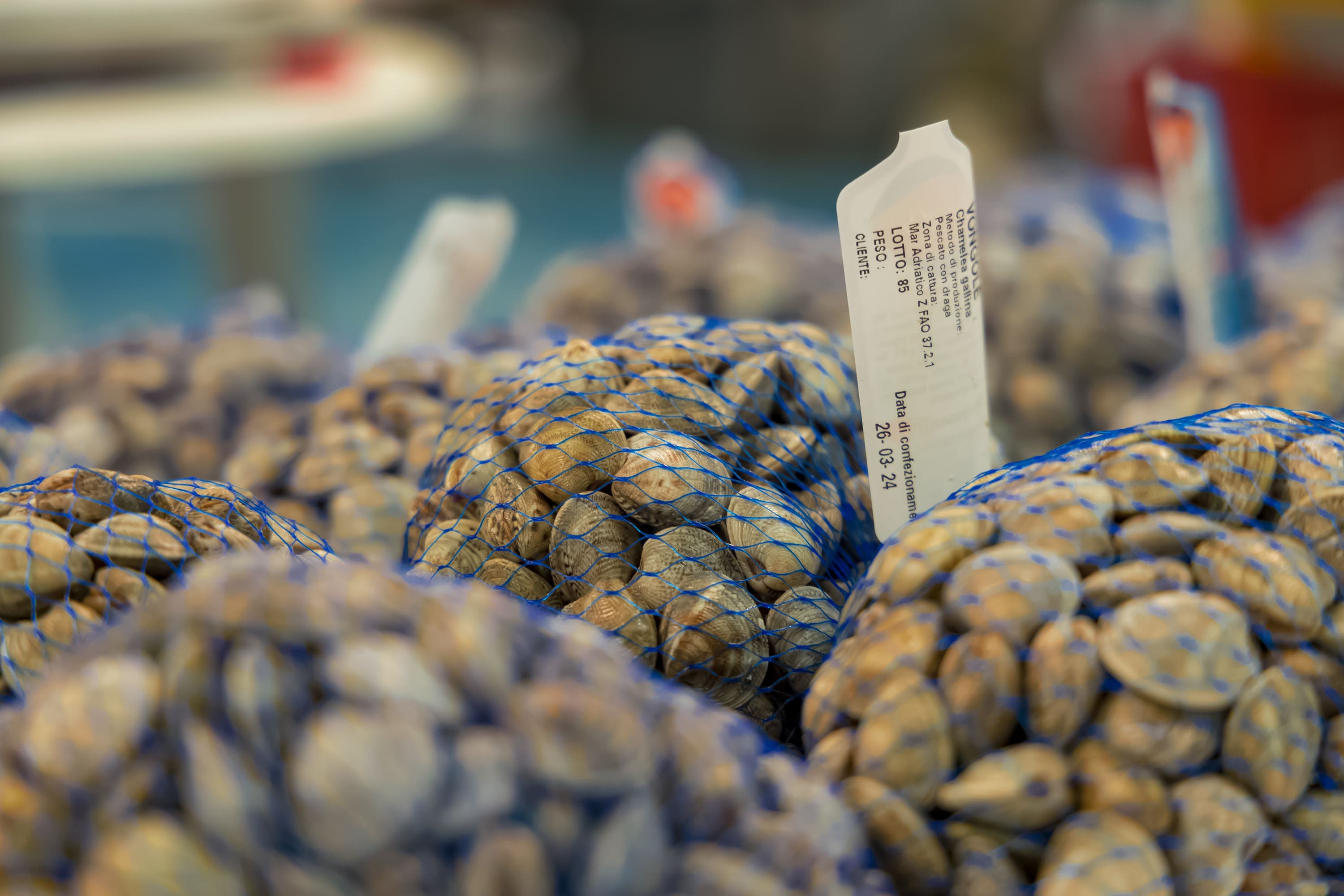 Tipicamente Caorlotto Pescaori