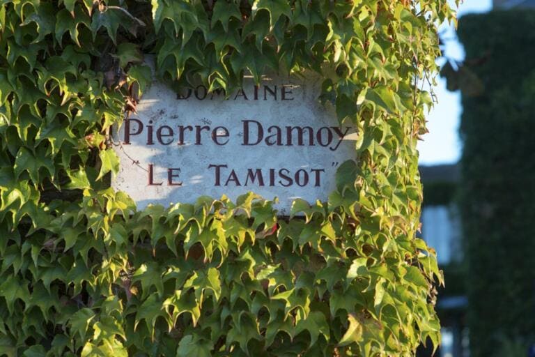 Domaine Pierre Domoy