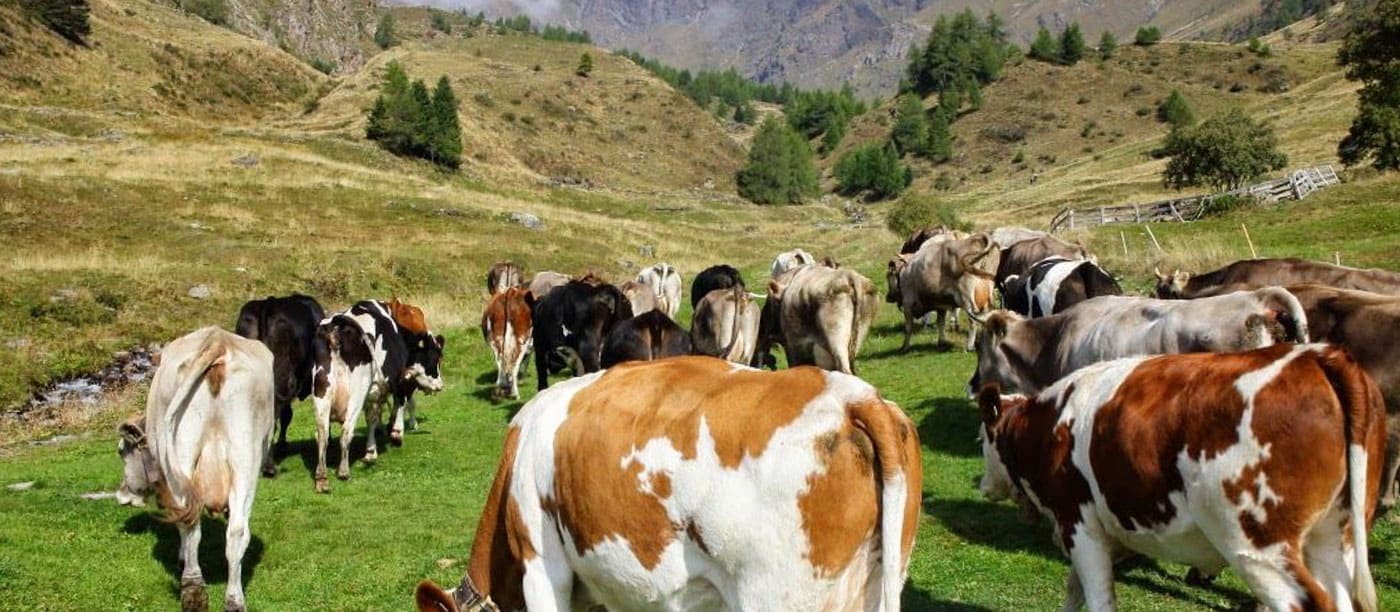 East Lombardy
