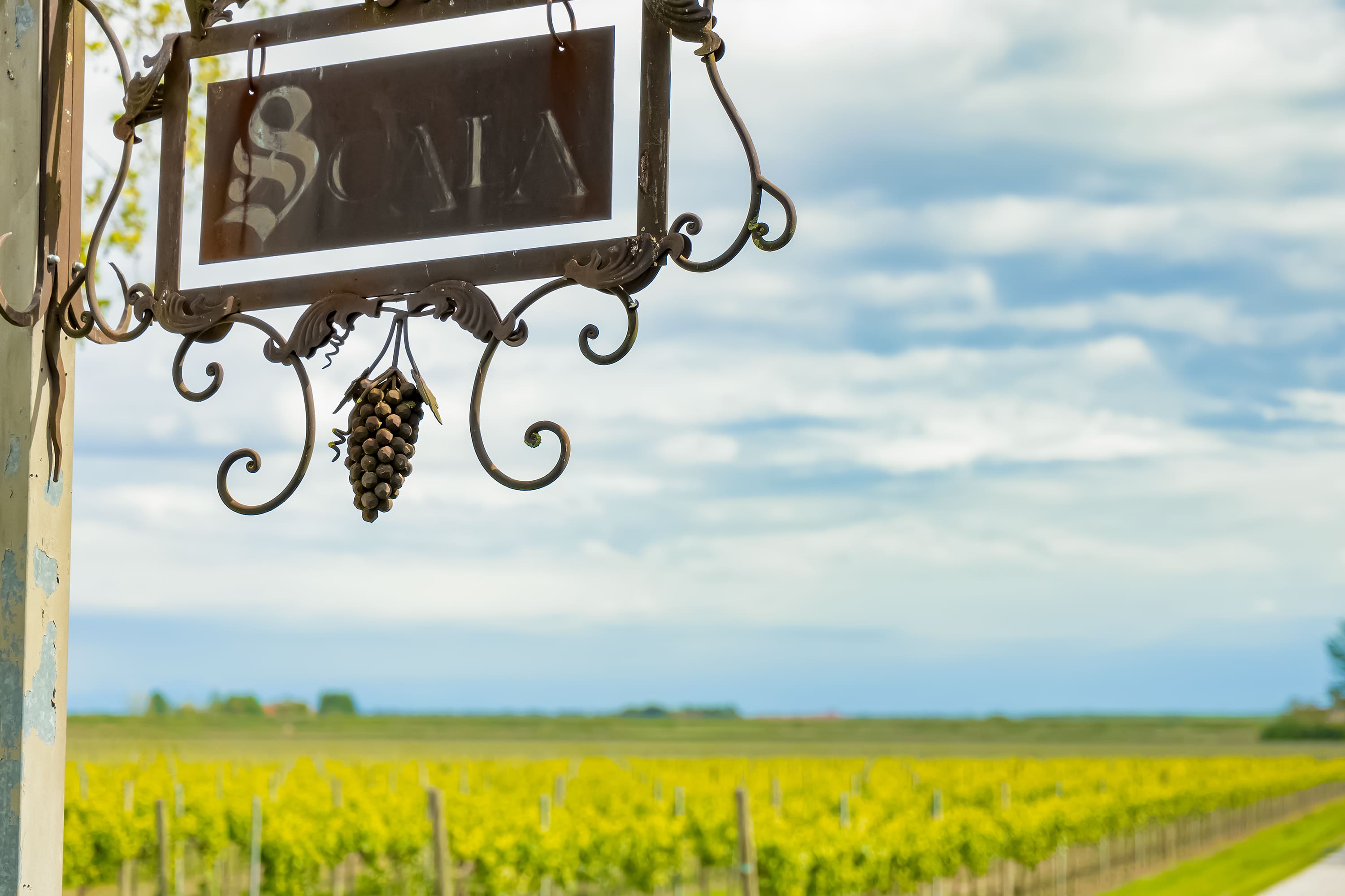 Cantine Scala