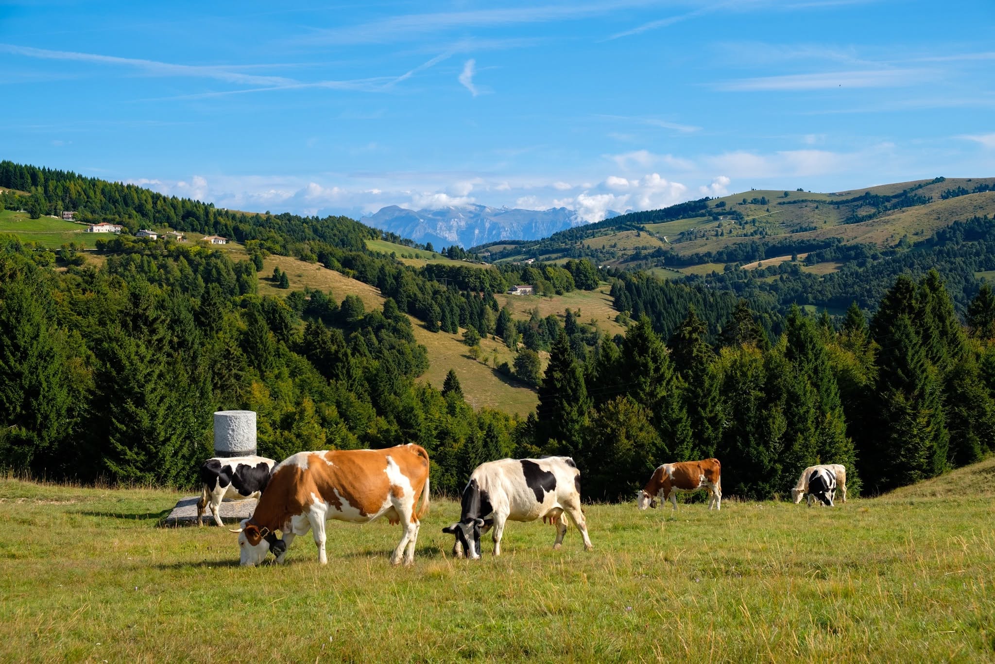Malghe