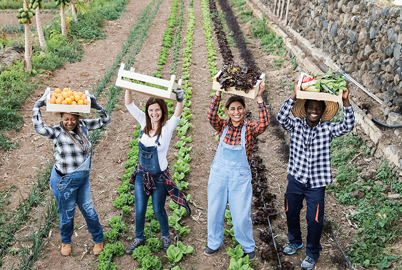 Identità Agricola