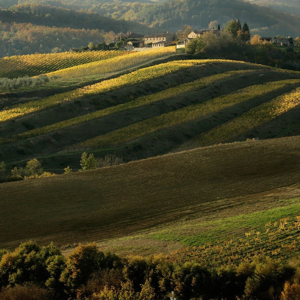 Chianti classico_Cibovagare