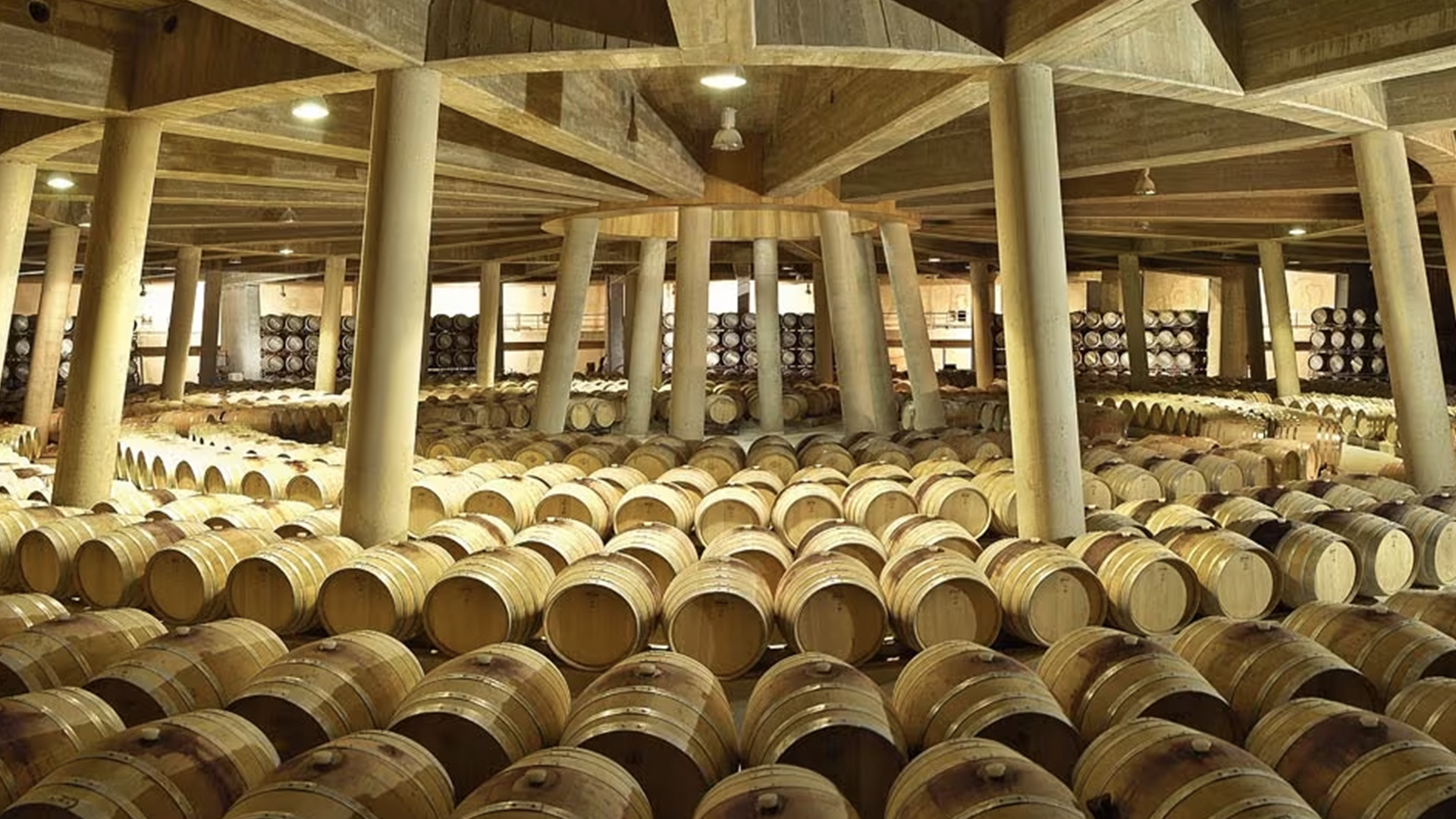 Cantine Vigna Real