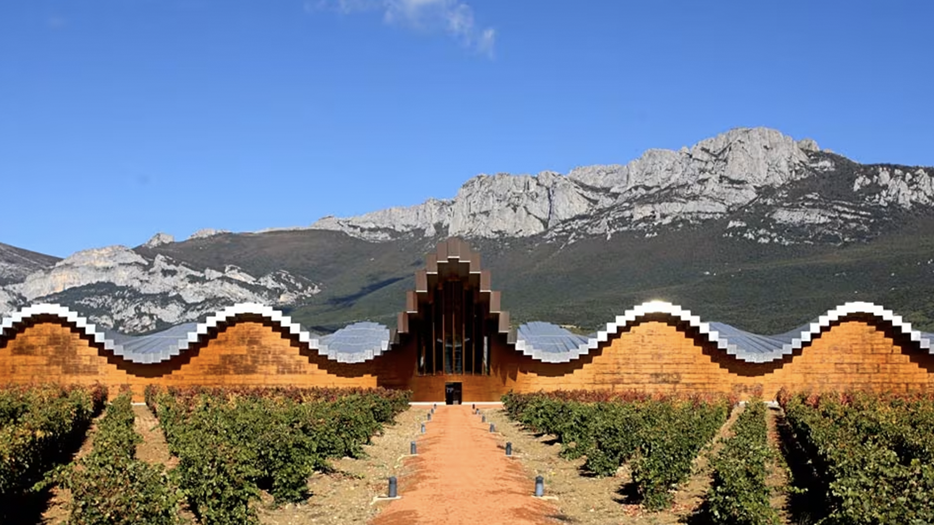 Cantine Ysios Basquetour