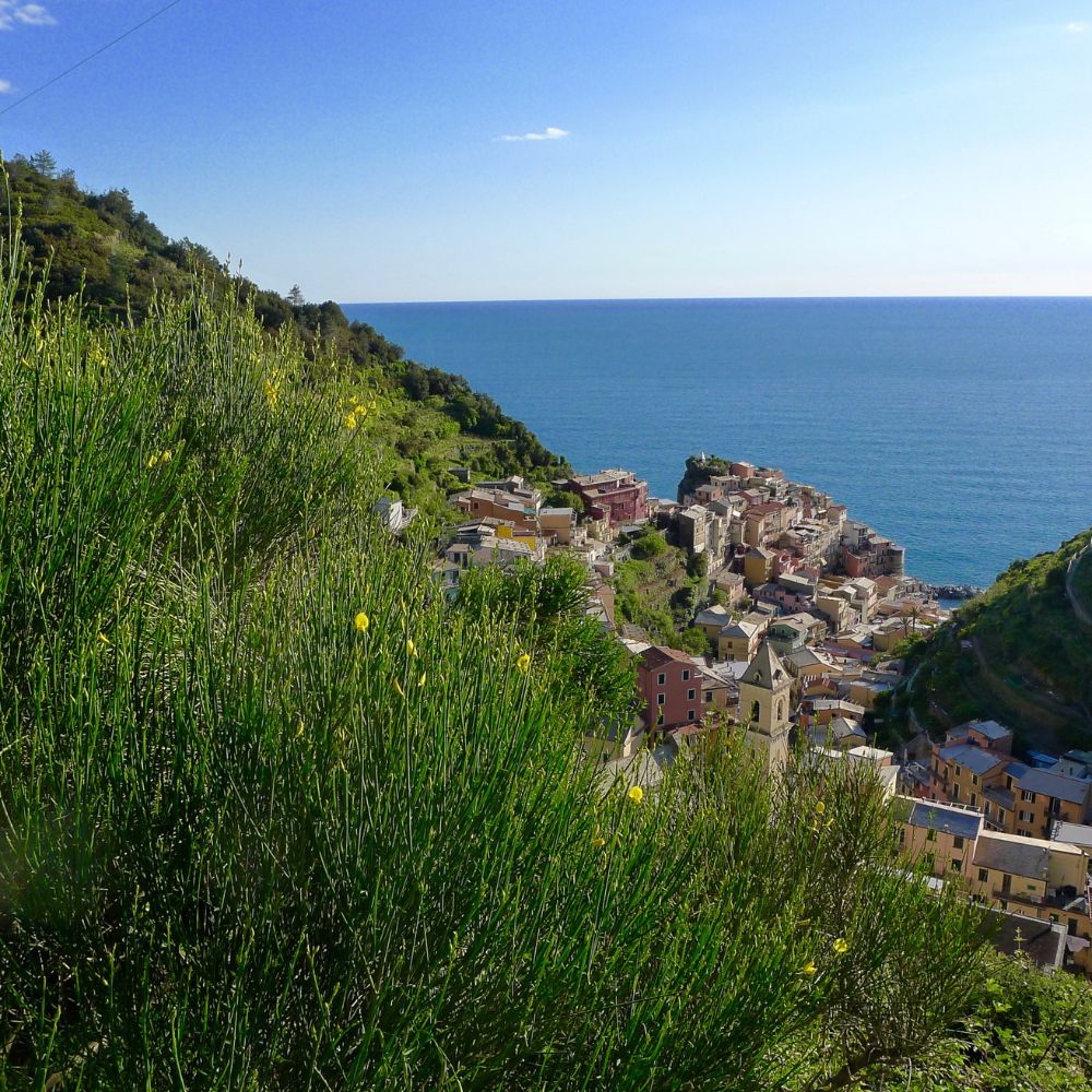 Cinque Terre_Viticultura_Cibovagare