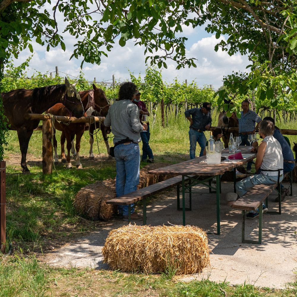 Consorzio_Custoza_Cibovagare