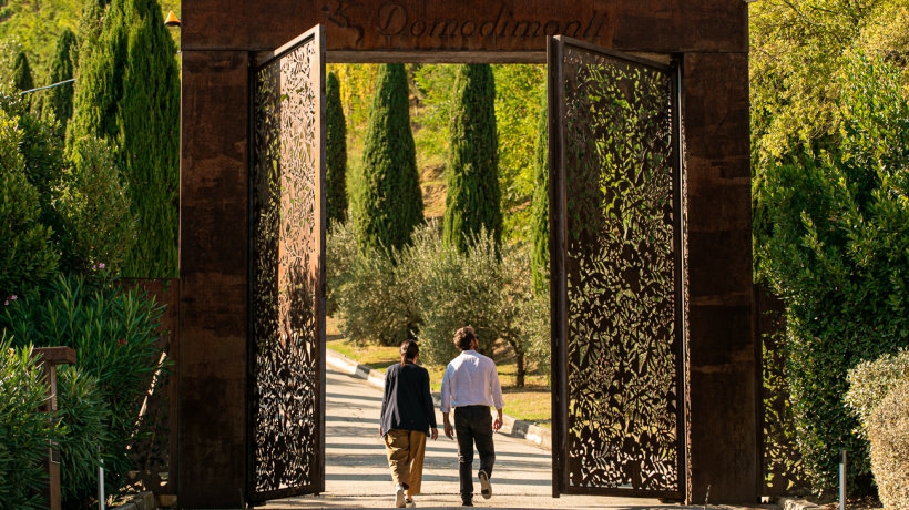 Domodimonti la cantina sostenibile nelle Marche