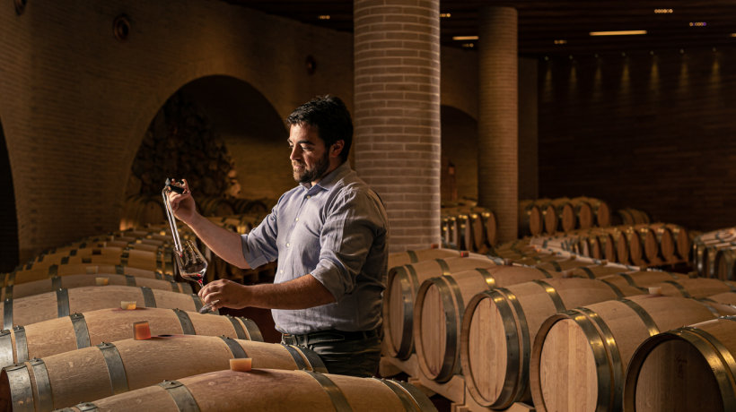 Domodimonti la cantina sostenibile nelle Marche