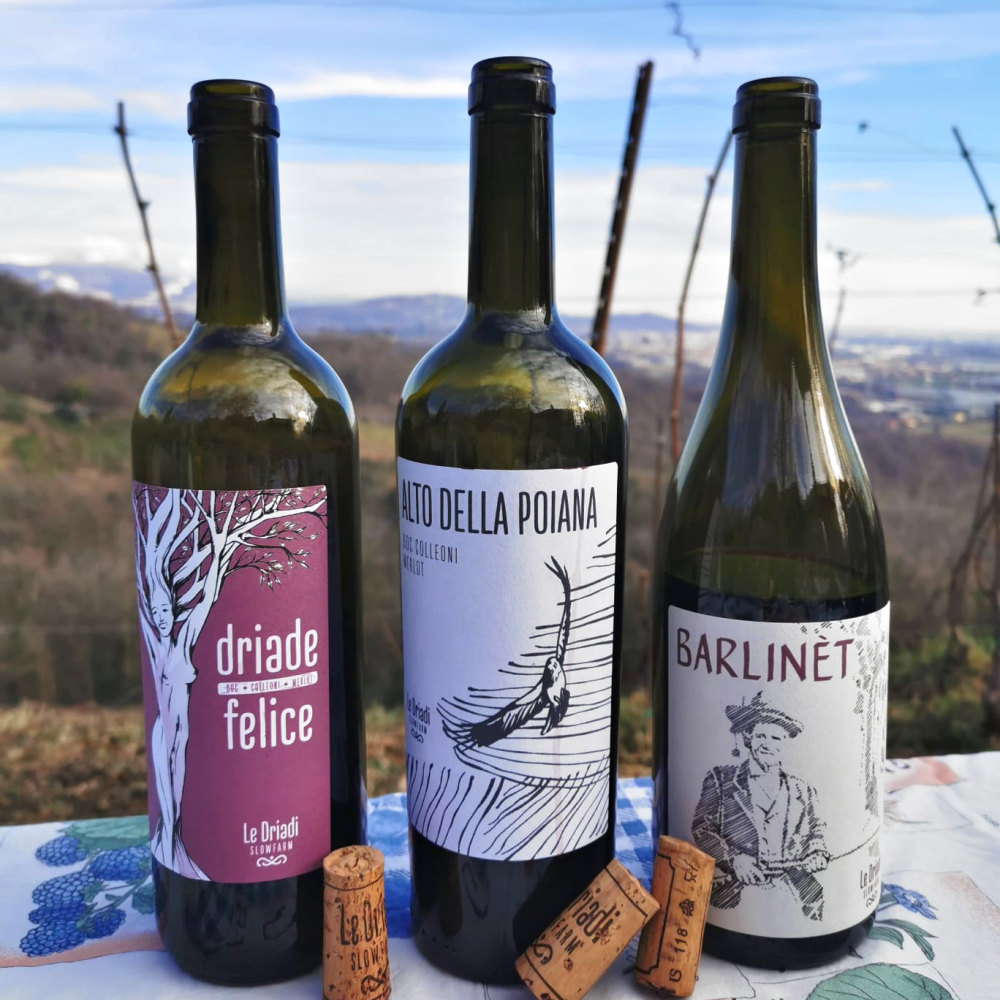 I vini dell'Azienda Agricola Le Driadi