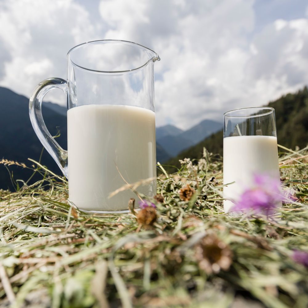 Federazioni Latterie Alto Adige_Cibovagare