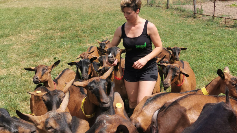 La ex ostetrica Stefania Ambrogio e le sue capre