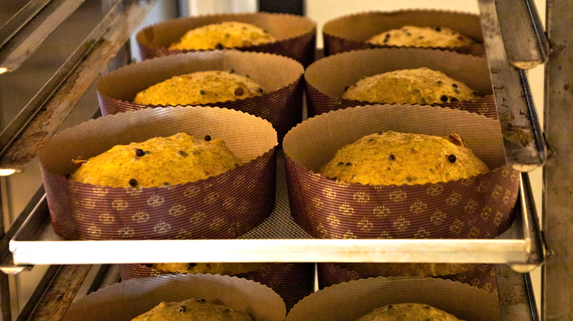 Panettone la lievitazione