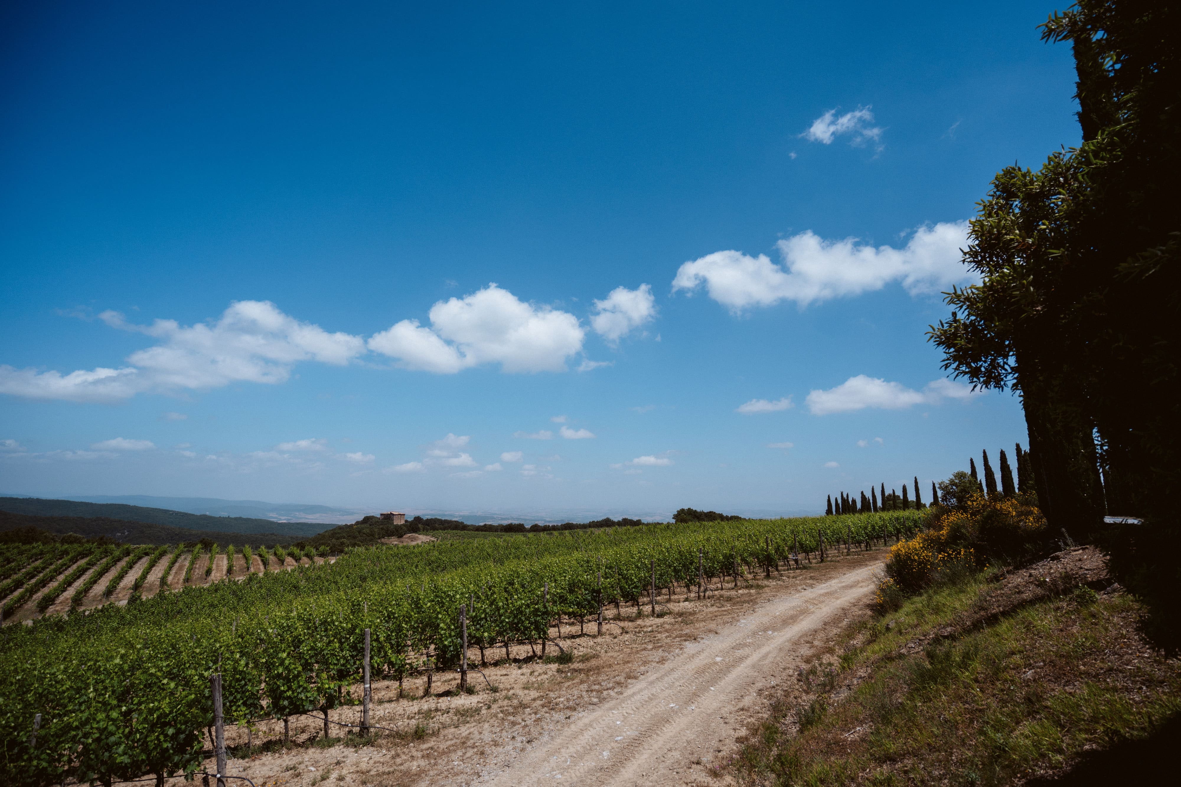 Montalcino