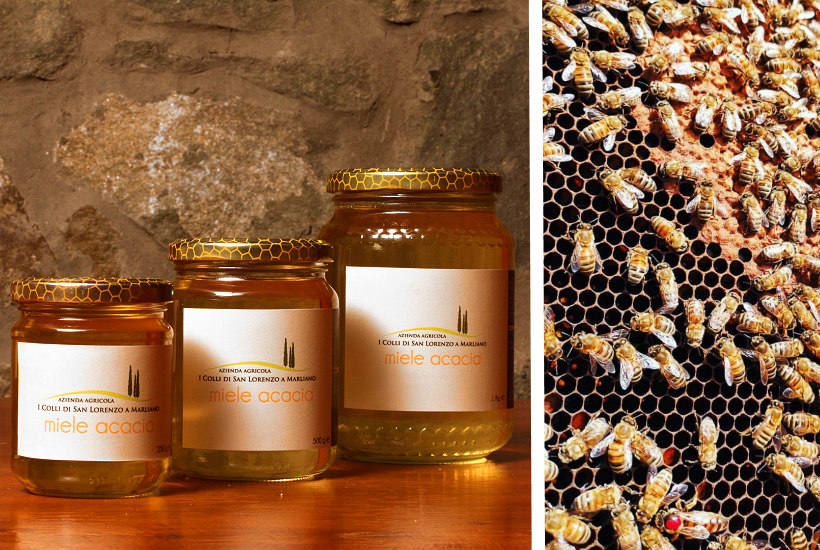 Il miele di acacia dell'azienda agricola Colli di Marliano
