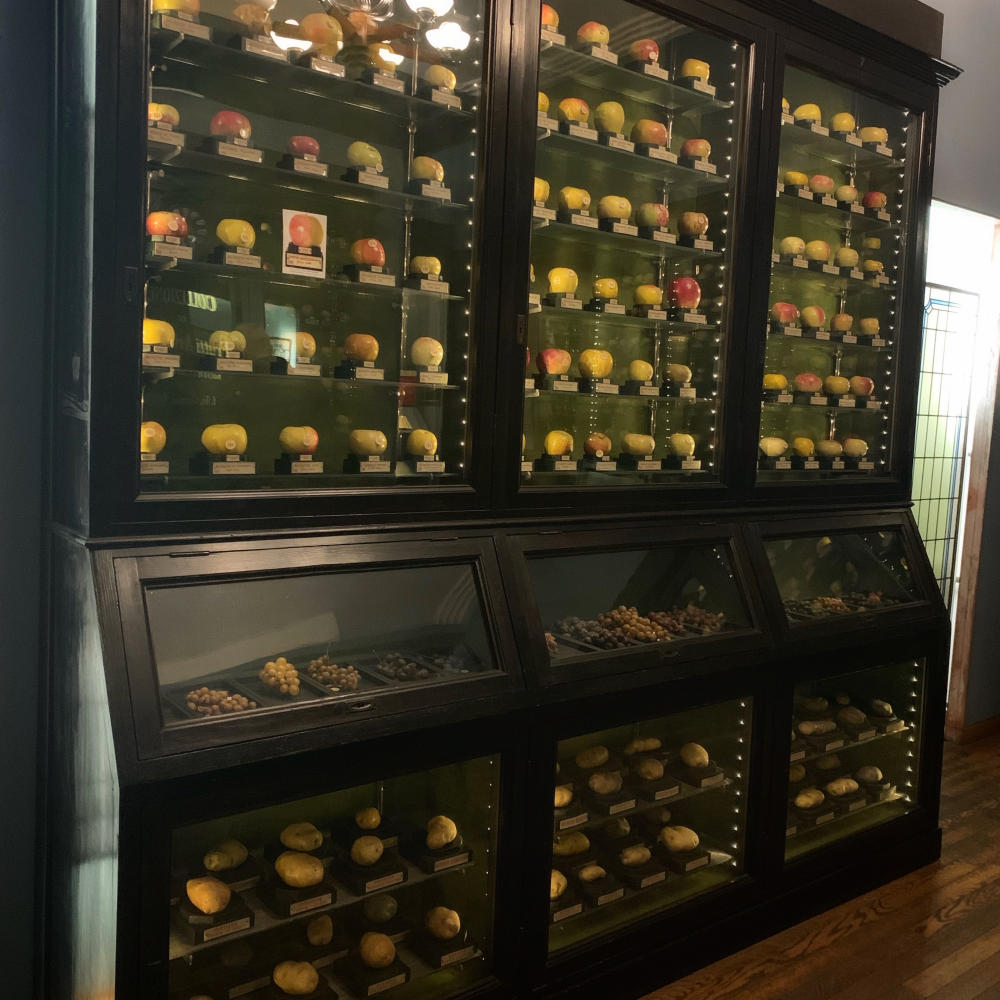 Il Museo della frutta di Torino