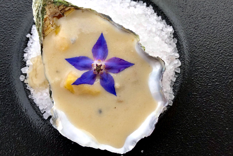 Ostrica con banana sotto aceto e salsa di ostrica di Villa Aretusi a Bologna