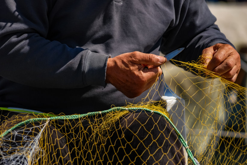 La pesca sostenibile - biodiversità