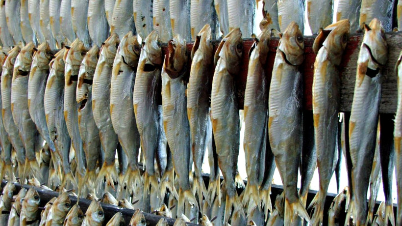 Le sardine essicate del lago d'Iseo, la Pescheria Montisola