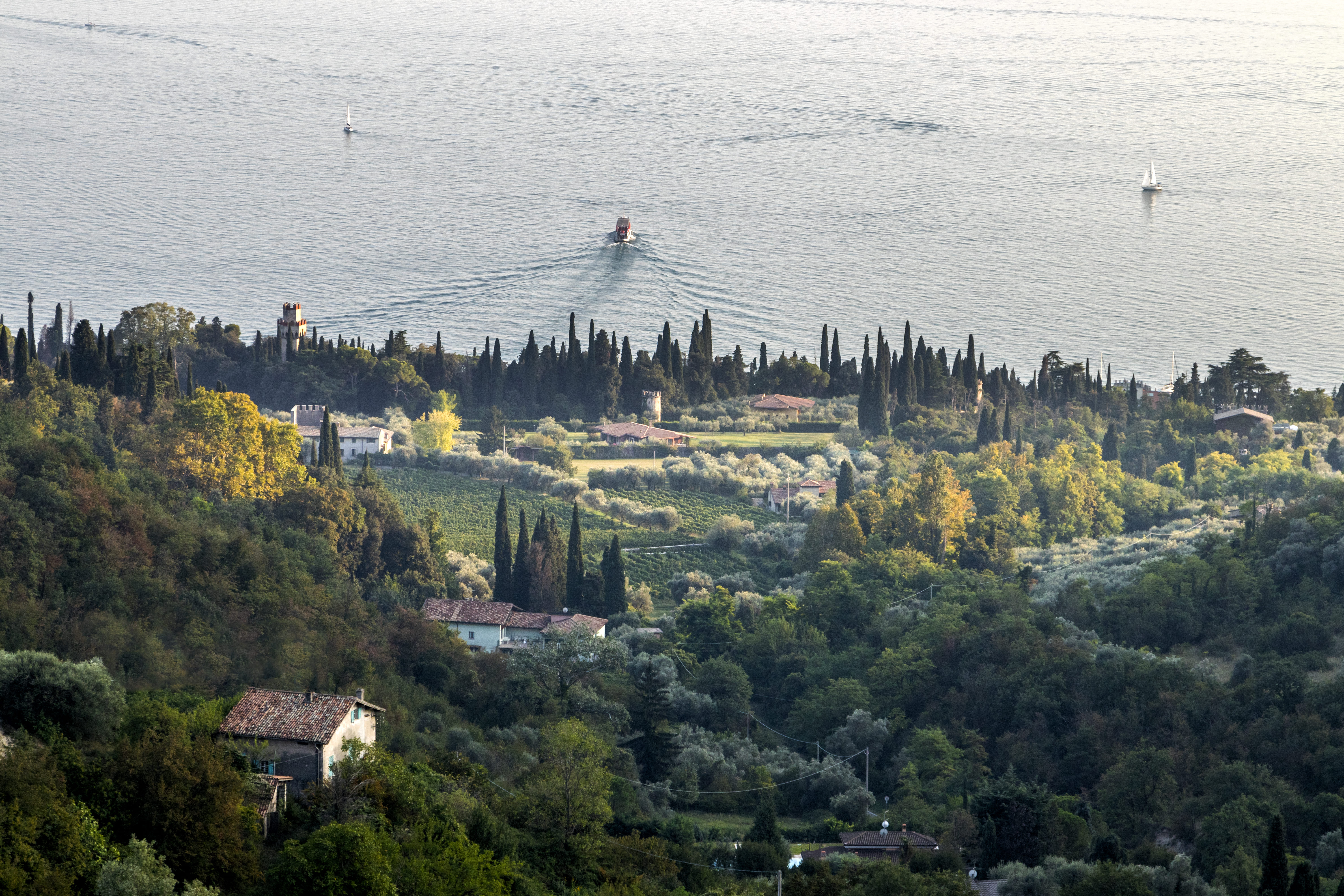 Bardolino