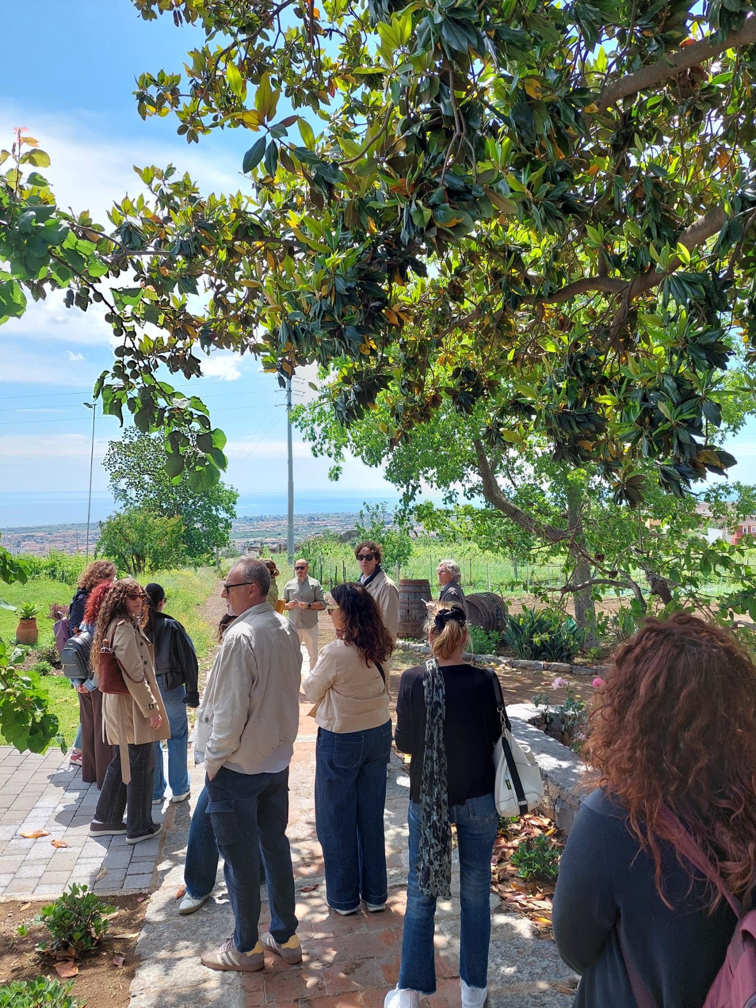 Etna Wine Bus