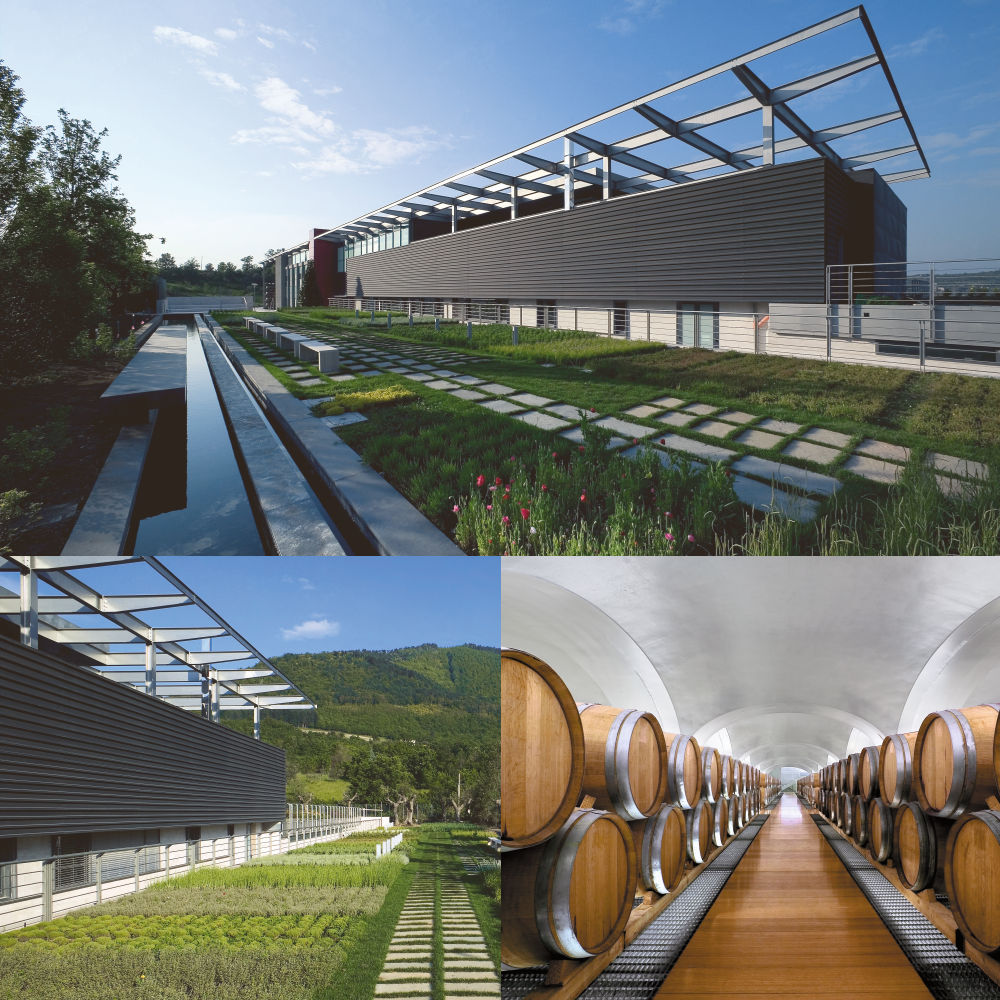 L'azienda vinicola Feudi San Gregorio disegnata dall'architetto Hikaru Mori