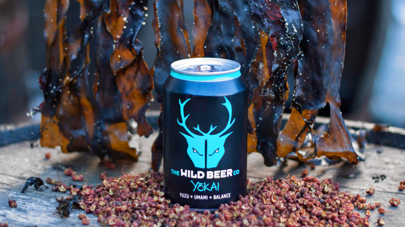 Wild Beer Co. Birre