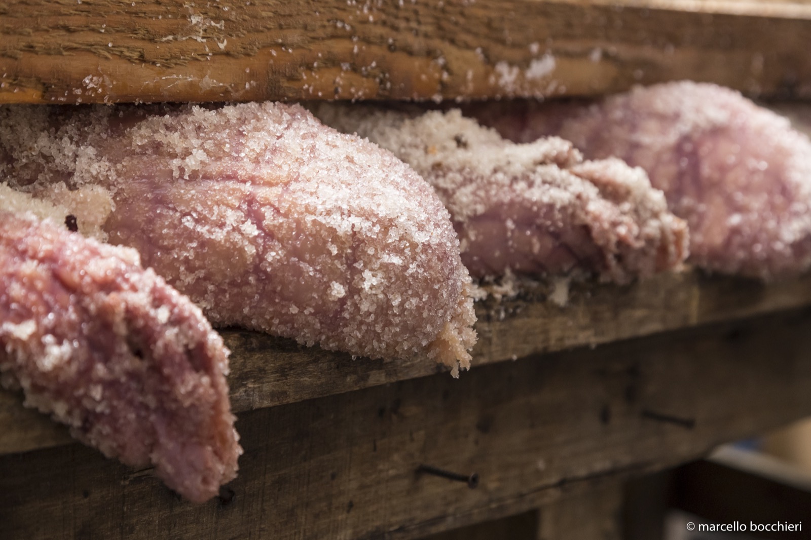 Bottarga Alfio Visalli