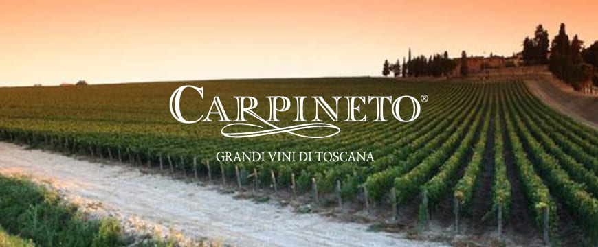 Carpineto