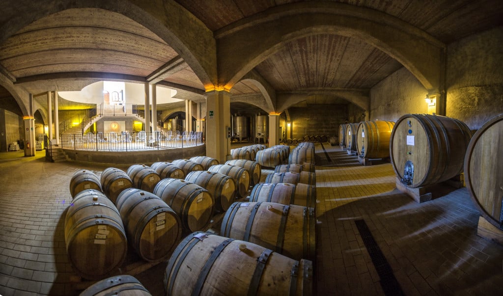 Cirò Senatore Vini