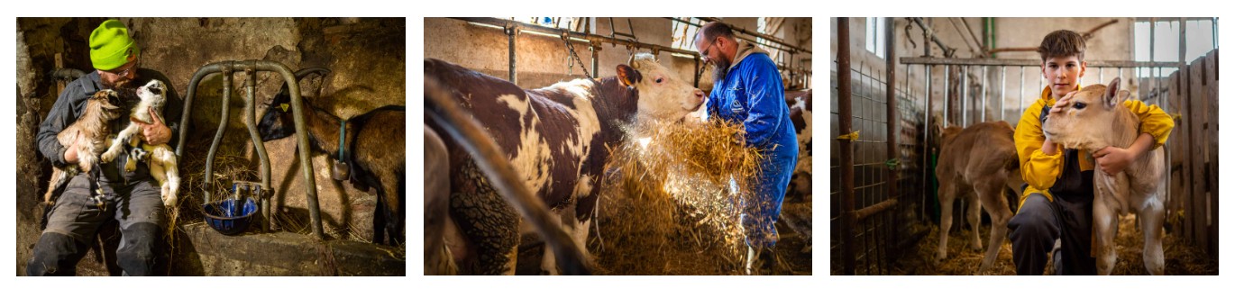 Fattoria Gallina Golosa