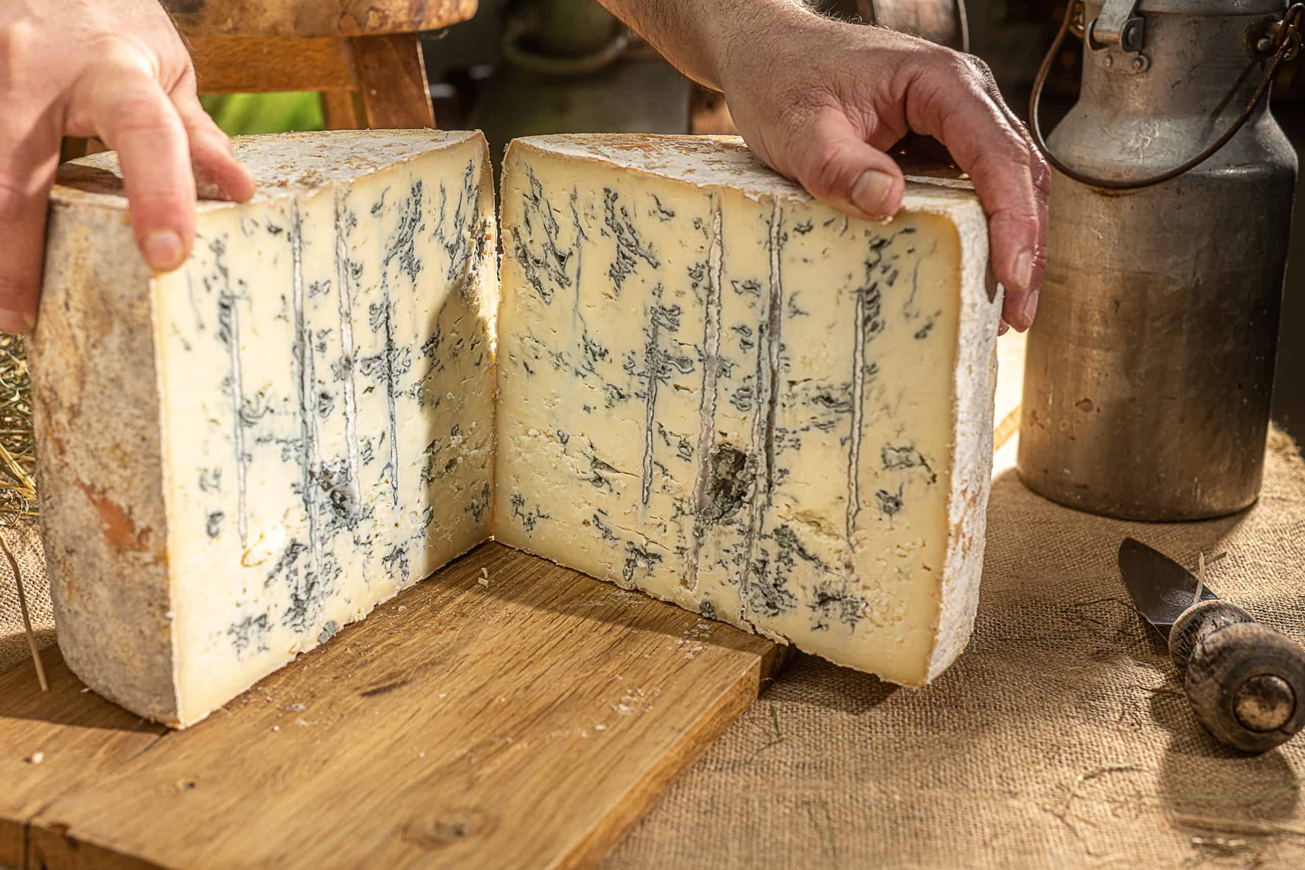 Fattoria Gallina Golosa