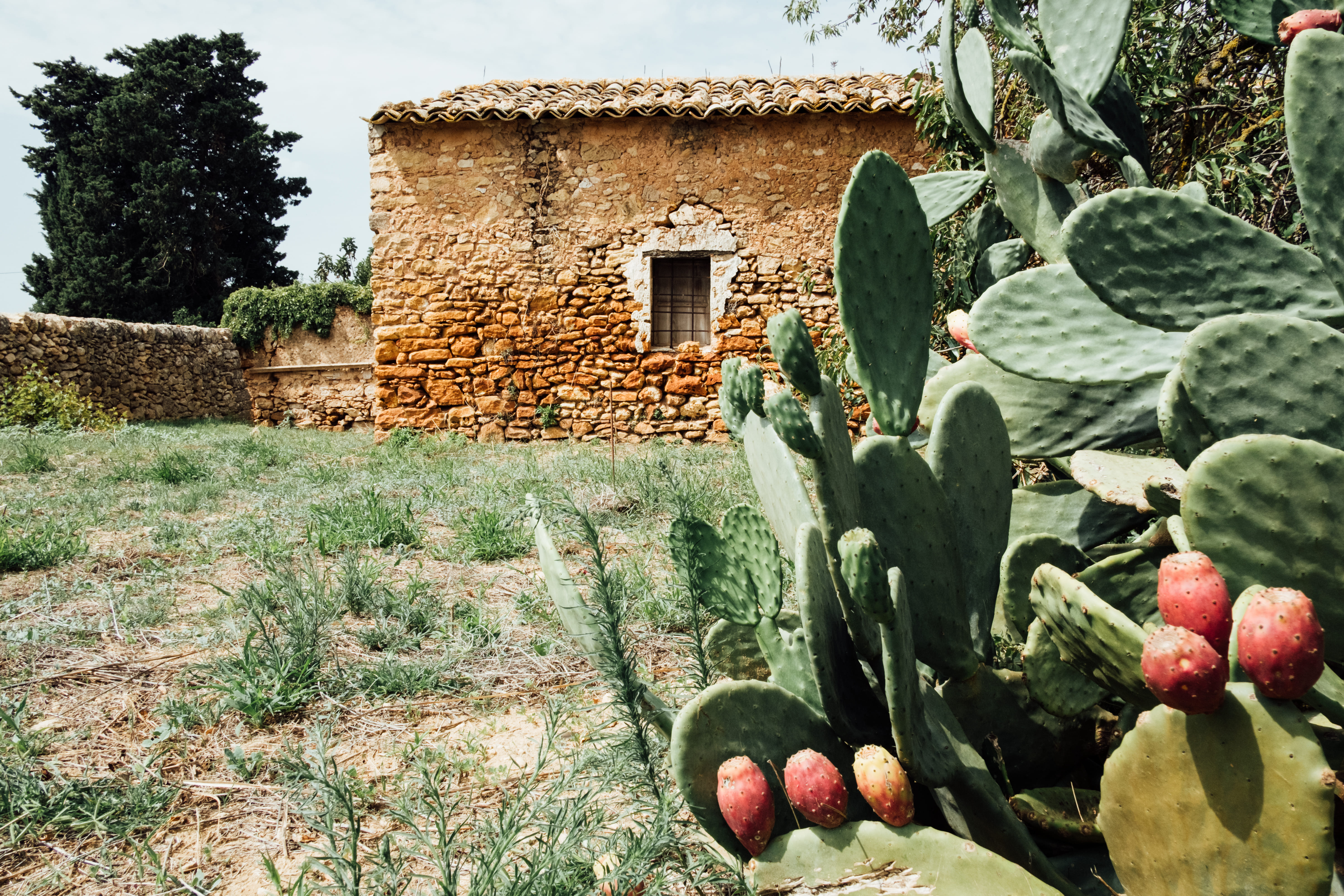 Santa Tresa Orisi